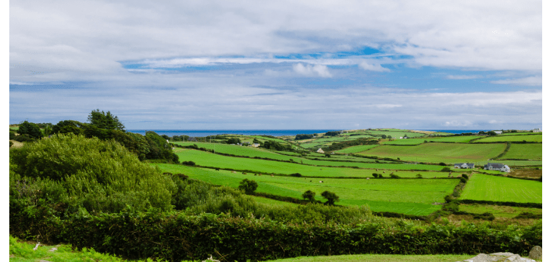 Untitled-770-×-368px-1