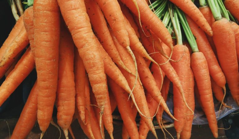 International Carrot Day!